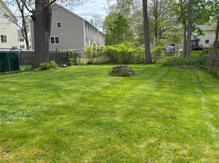 Dustin R.'s Yard Cutting service result