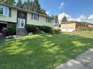 Janet E.'s Grass Cutting service result