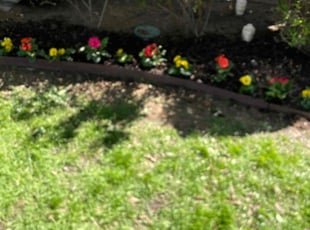 Landscaping by Maurice Washington for Emily G. in Grand Prairie, TX