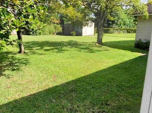 Dave M.'s Lawn Mowing service result