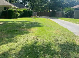 Roya B.'s Lawn Care service result