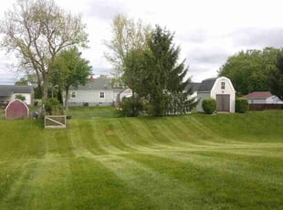 Sharon J.'s Yard Cutting service result