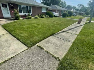 Robin D.'s Lawn Care service result