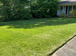 Rosita W.'s Grass Cutting service result