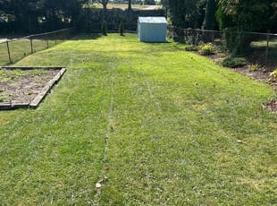 sandra g.'s Lawn Maintenance service result