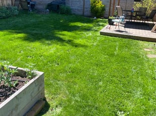 Heather B.'s Lawn Care service result