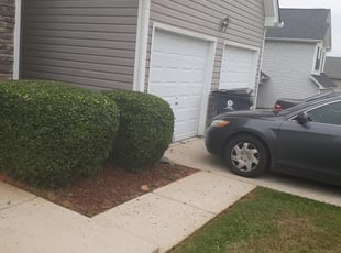 Bush Trimming by Robert Webster for Charkeria R. in Fairburn, GA