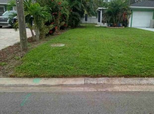 Jonathan G.'s Lawn Mowing service result