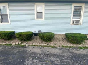 Bush Trimming by Alan ChΓ‘vez for Lorenzo G. in Chicago Heights, IL