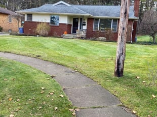 Cleanups by Mekkel Jackson for Amanda R. in Grand Rapids, MI