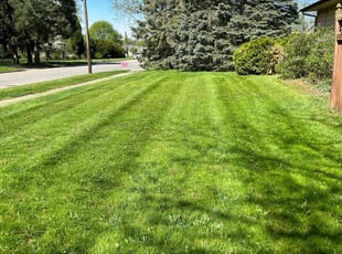 Joe L.'s Lawn Care service result