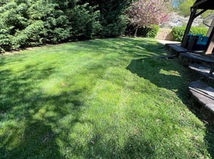 Yuri B.'s Lawn Maintenance service result