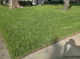 Harald M.'s Lawn Service service result