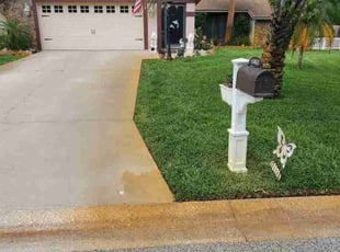 Chelsie P.'s Lawn Mowing service result