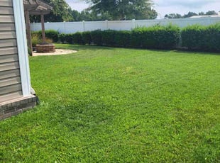 Walter S.'s Lawn Maintenance service result