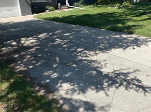 Tishi R.'s Yard Cutting service result