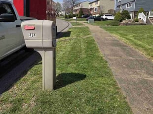 Lorraine G.'s Lawn Service service result