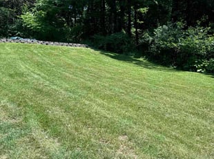 Len P.'s Lawn Care service result