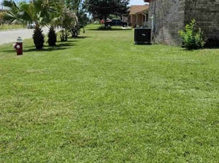 Gina S.'s Lawn Mowing service result