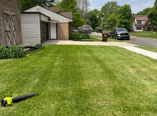 Rebecca M.'s Yard Cutting service result