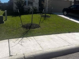 Cynthia F.'s Lawn Mowing Service service result