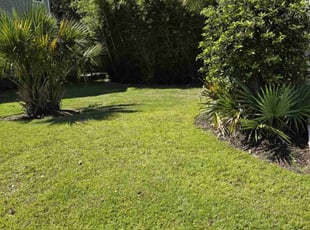 Sydney S.'s Lawn Maintenance service result