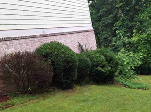 Bush Trimming by Rickey Mccoy for Dani C. in Dacula, GA