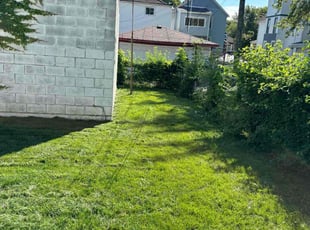 Walter C.'s Lawn Mowing service result