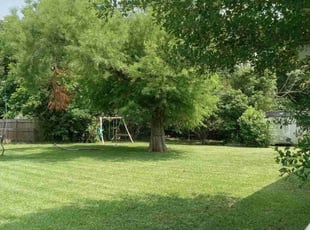 JOSHUA C.'s Yard Cutting service result