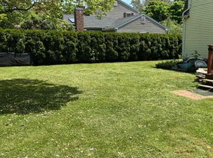 John C.'s Lawn Care service result