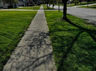 Aj K.'s Grass Cutting service result