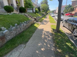 Jamile W.'s Grass Cutting service result