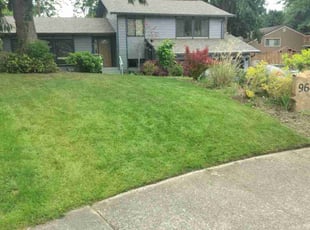 Tim H.'s Lawn Care service result