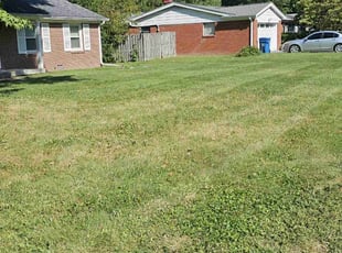 Chris M.'s Lawn Mowing Service service result