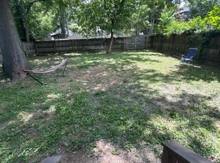 Leaf Removal by Landon Millett for Rachel J. in Nashville, TN