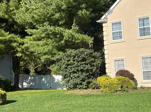 Bush Trimming by Ted Reimel for Ann D. in Voorhees Township, NJ
