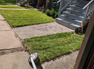 Donna P.'s Lawn Service service result