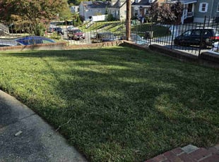 LaTosha G.'s Lawn Mowing service result