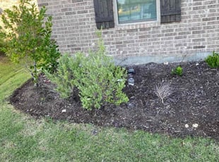 Weeding by Jose Tovar for Josue S. in Haslet, TX