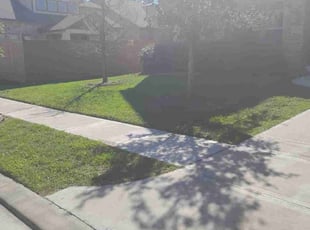 Genny B.'s Lawn Care service result