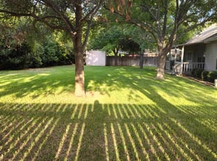Stacy L.'s Yard Cutting service result