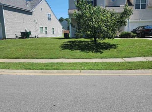 Randy W.'s Grass Cutting service result