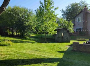 Jean H.'s Lawn Maintenance service result