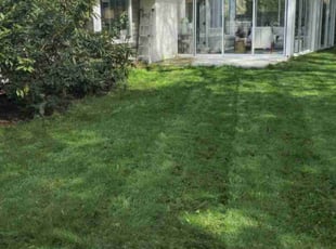 Lakisha T.'s Lawn Care service result