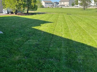 Ed P.'s Lawn Mowing Service service result