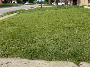 Beverly O.'s Lawn Care service result