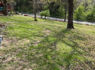 Mykola J.'s Lawn Mowing service result