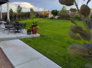Sheila D.'s Lawn Service service result