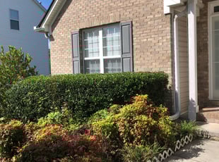 Bush Trimming by Stoy Fulcher for Robert B. in Loganville, GA