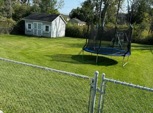 Sean N.'s Lawn Mowing Service service result
